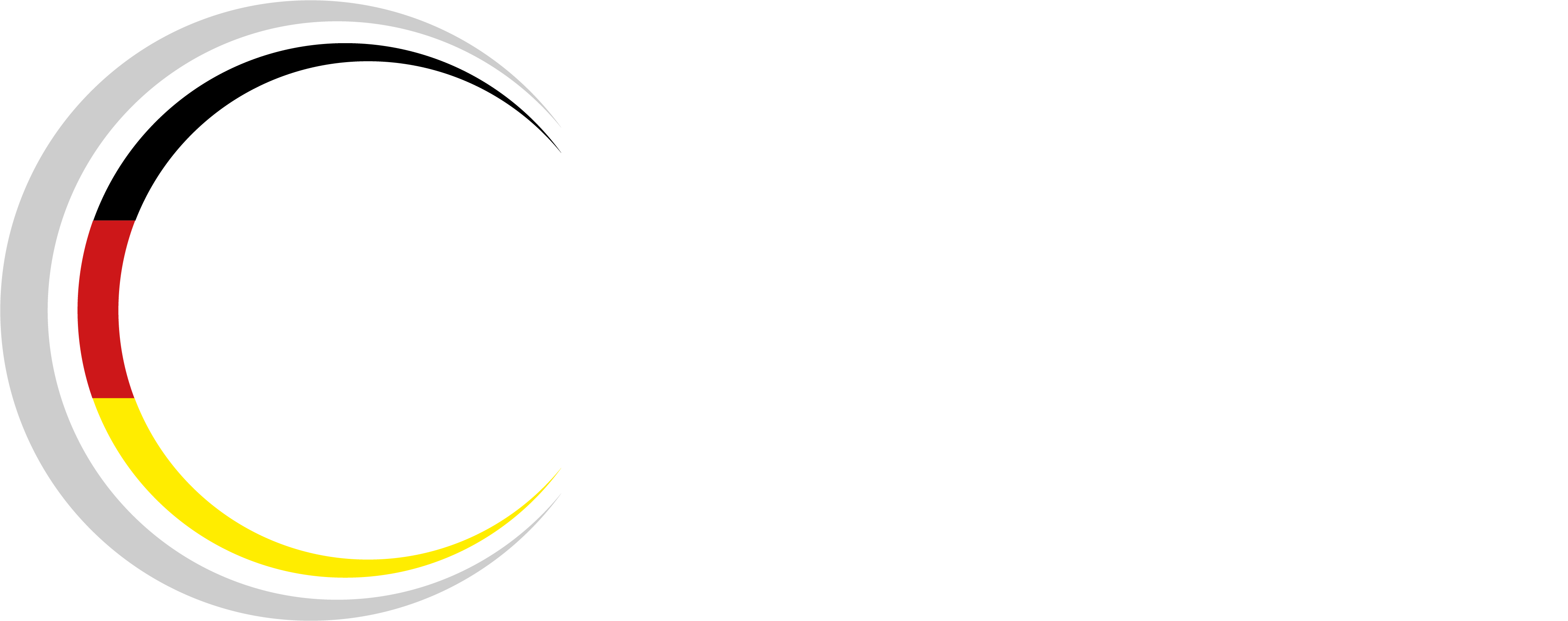 IfDQ Audit GmbH